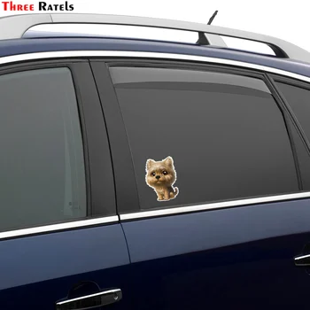 Три Ratels TRL546# 10x14 см Скъпа Йоркширская Куче Автомобил Забавни Стикери И Етикети