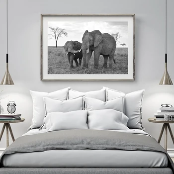 Високият Крава Платно Живопис Африка Животни Монтиране на Изкуството на Черно-Бял Лъв, Бизон Плакати и разпечатки на Картини за вашия интериор дневна