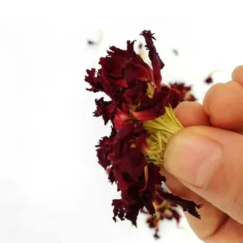Изсушените естествени цветя, Листа от карамфил За Ароматерапия Свещ Епоксидна Смола Висулка Колие Производство на бижута Занаят САМ Аксесоари