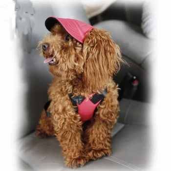 Лятна Шапка за кучета бейзболна шапка за домашни любимци Външни слънчеви шапки Дишащи Слънчеви шапки за кучета и Аксесоари за домашни любимци за котки