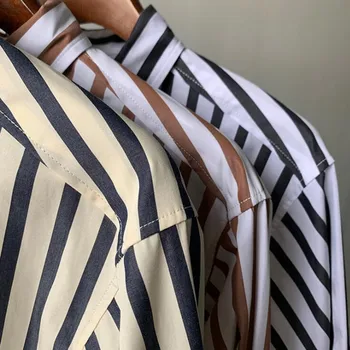 Дамски бродерия Силует на лого Блуза райе с отложным яка и дълъг ръкав, С дълъг ръкав Офис дамски ризи Началото на Пролетта 2021